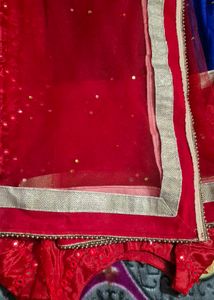 Blue &amp; Red Embellished Saree