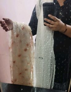 2 net dupatta