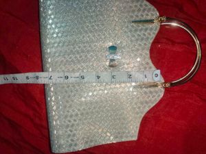 Sparkling Silver Evening Clutch