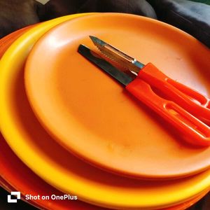 9 Vibrant Melamine Dinner Plates