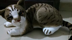 Cat Doll For Sale