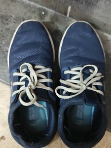 combo campus shoes and flats