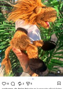 Collectible Plush Lion Toy with Football