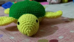 Turtle