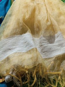3 Combo Women's Dupatta.