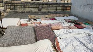 Cotton Pillows, Bedsheet and blanket