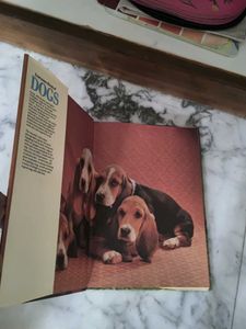 Everyone's Book of Dogs