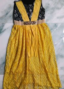 Beautiful Yellow Ethnic Gown