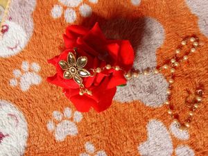Elegant Pearl & Stone noze pin