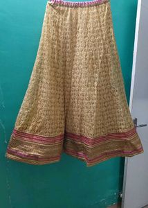 Elegant Ethnic Lehnga And Blause
