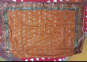 Elegant Embellished Saree