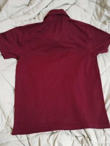 USPA Maroon Polo T-Shirt (SIZE- L)