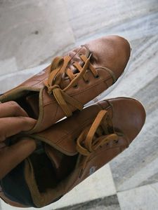 Men's Brown Casual Sneakers