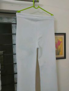 Popwings Women Casual  Solid pant