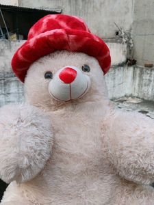 Cute Teddy Bear