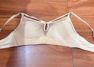 Sheer Lace Trimmed Bra