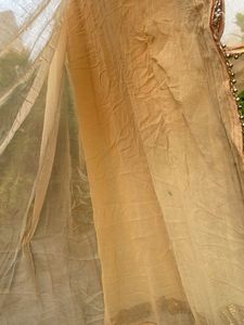Elegant Beige Dupatta with Sequins