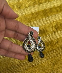 Elegant Black &amp; Silver Dangle Earrings