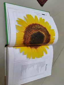 DK Ultimate Family Visual Dictionary