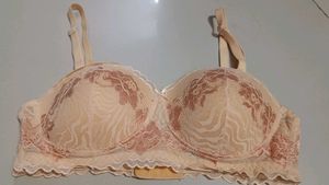 Clovia 36 B Push-up Bra