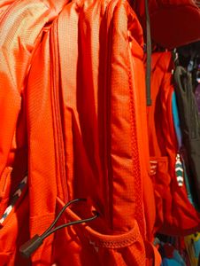 Skybags Backpack