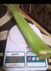 Fresh Aloe Vera Leaf - Natural Gel