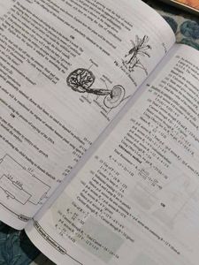 CBSE Class 10 Science Sample Papers