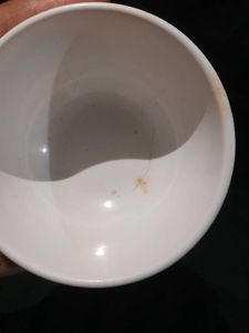 Dinnerware Bowls (Set of 4)