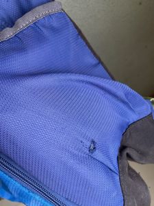 American Tourister Blue Backpack
