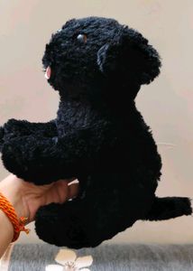 Cute Black Dog Plush Toy