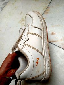 campus Shoes