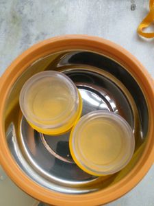 Vintage Floral Tiered Tiffin Carrier