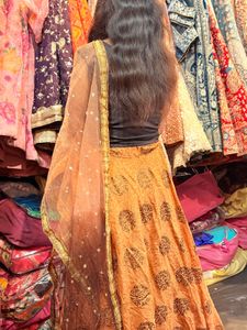 Elegant Orange Lehenga Choli