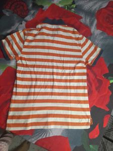 Men polo tshirt
