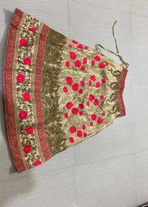 Embroidered Lehenga Skirt