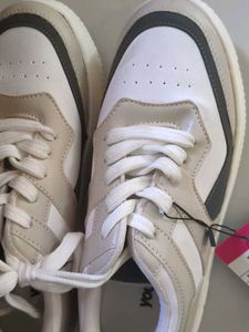 Cream &amp; White Casual Sneakers