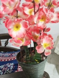 Orange Yellow Color Flower Pot