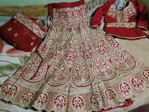 Red Bridal Lehenga with Gold Embroidery