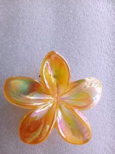 Flower Hair Clips Set  new