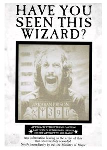 Sirius Black 'Have You Seen This Wizard?' Poster