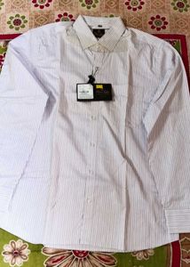 Men's Striped Casual Shirt ( Branded )