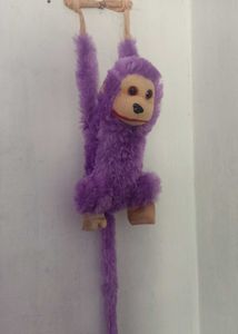 Soft Toys