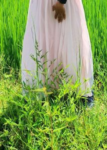 Pink 3 Piece Festive Dress