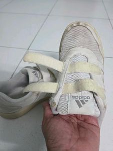 Adidas Velcro white Shoes