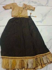 Traditional Indian Lehenga Choli Set