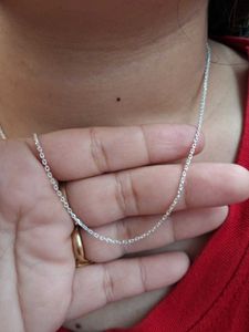 Elegant Silver Chain Necklace