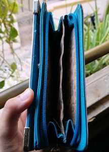 beautiful handpurse