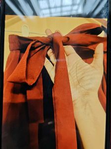 Elegant Red Wrap Skirt