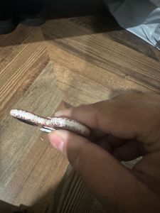Fun Fidget Spinner