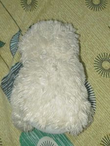 Cute Cream Teddy Bear